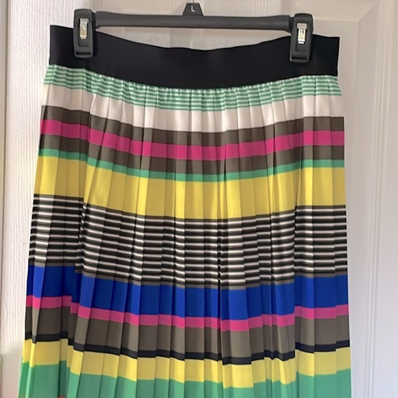Paniz Beautiful Pleated Skirt, Size XL - Picture 2 of 5